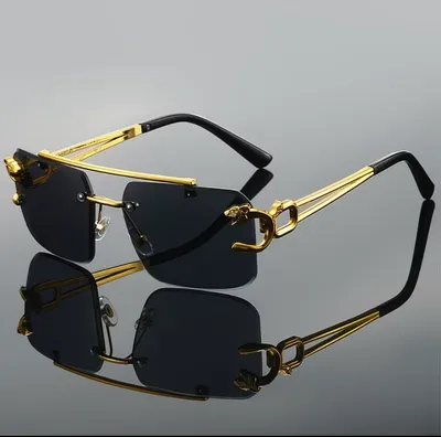 Leopard sunglasses trendy 2026 style