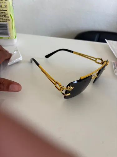 Leopard sunglasses trendy 2026 style